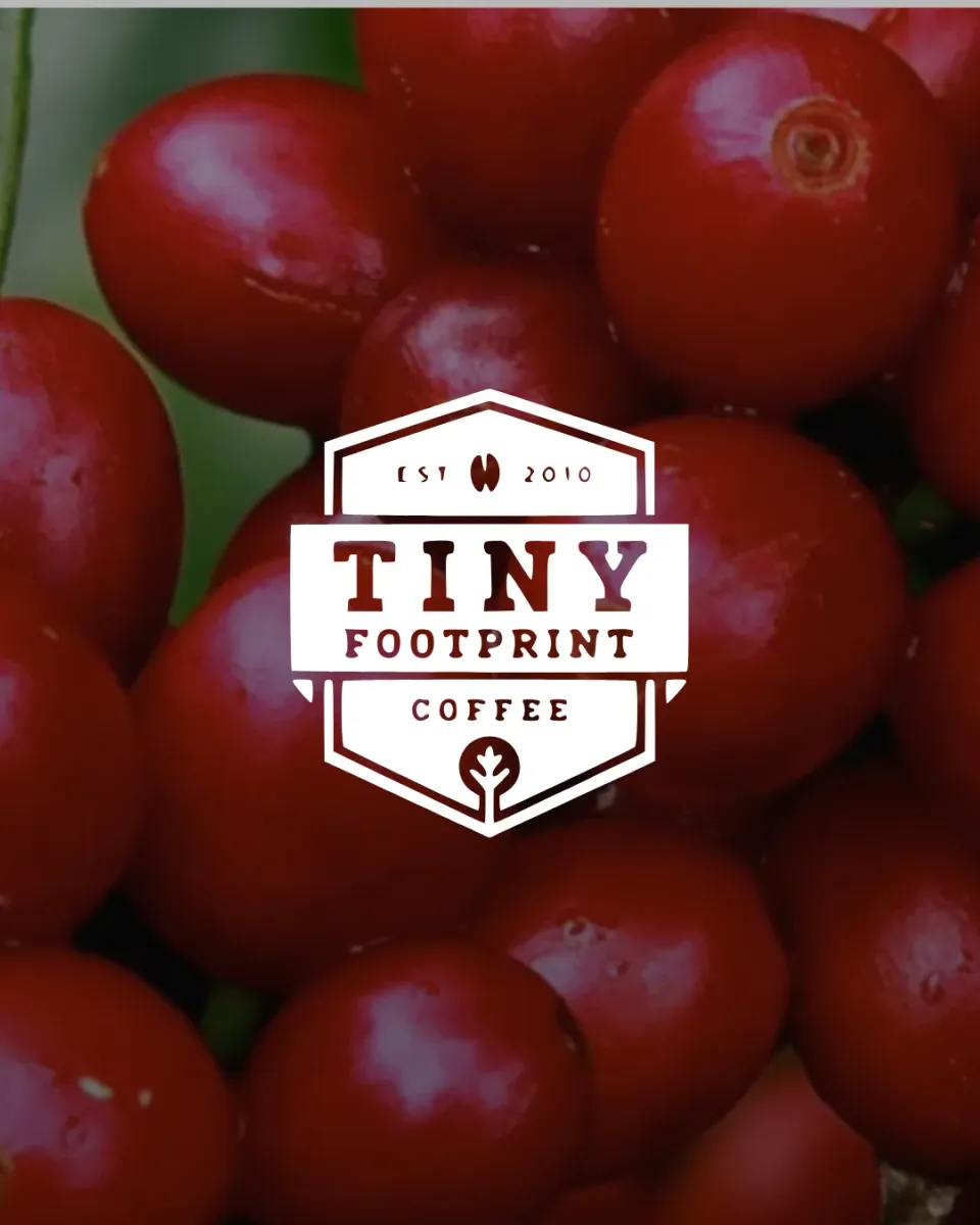 Tiny Footprint Coffee, the badge over ripe coffee cherries