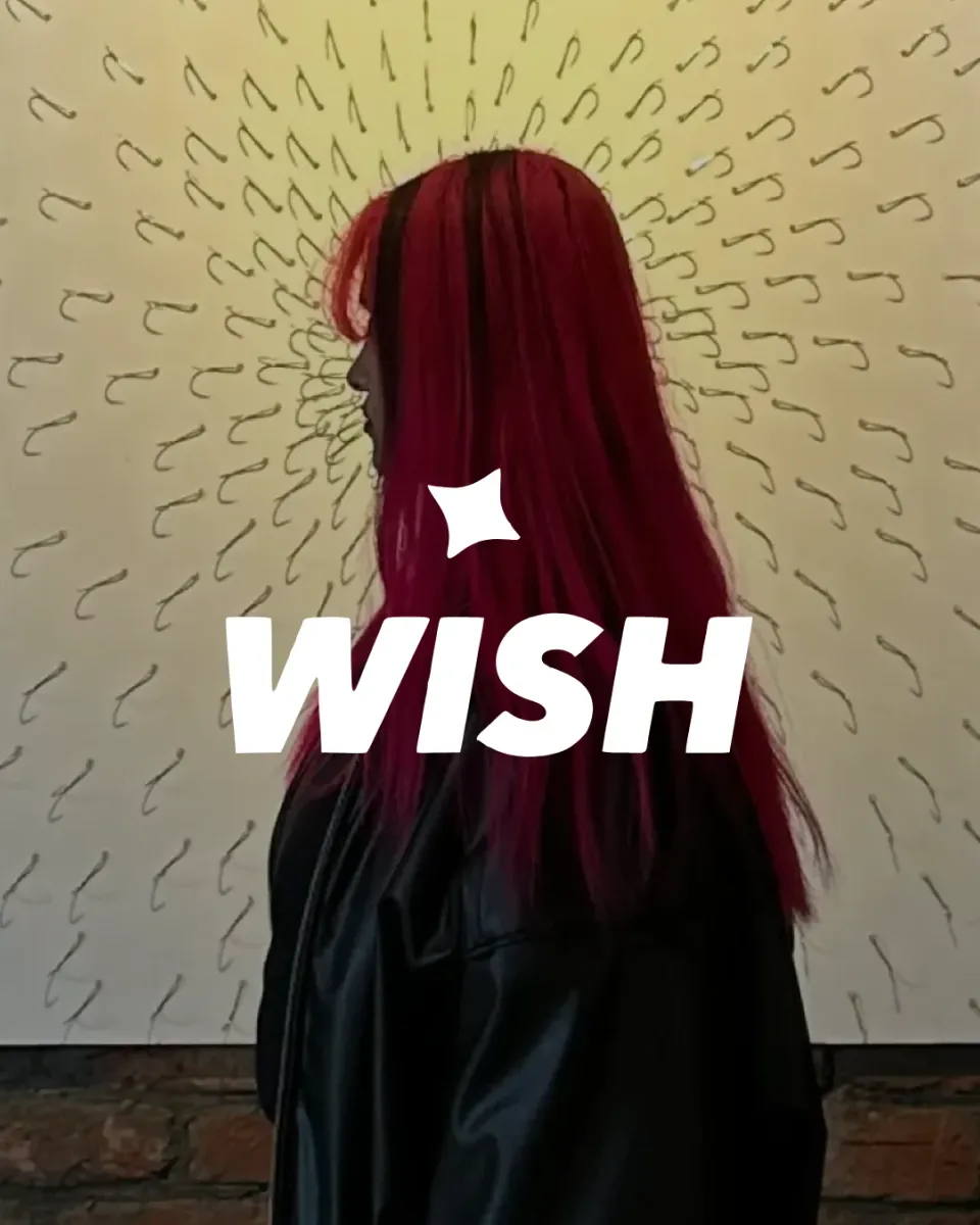 Wish, the WISH wordmark over a campaign photograph