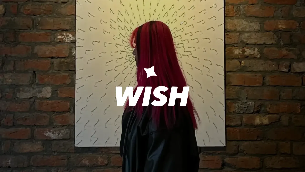 Wish, the WISH wordmark over a campaign photograph
