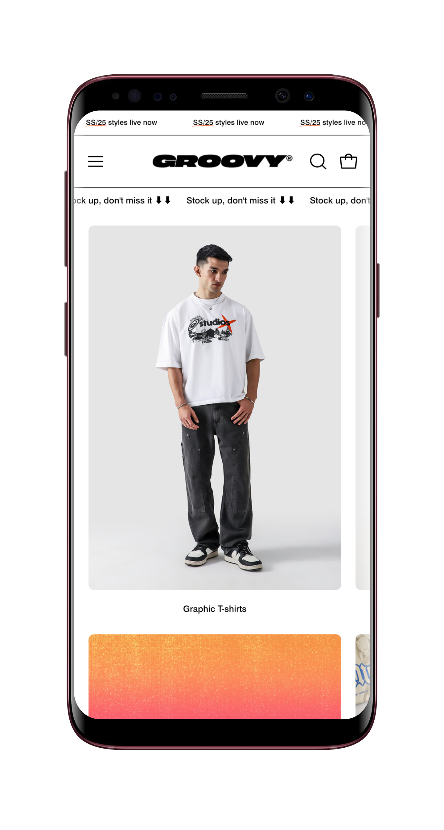 Website Development for Groovy Pakistan - Image 2